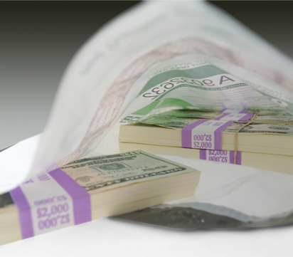 Cash Deposit Bag